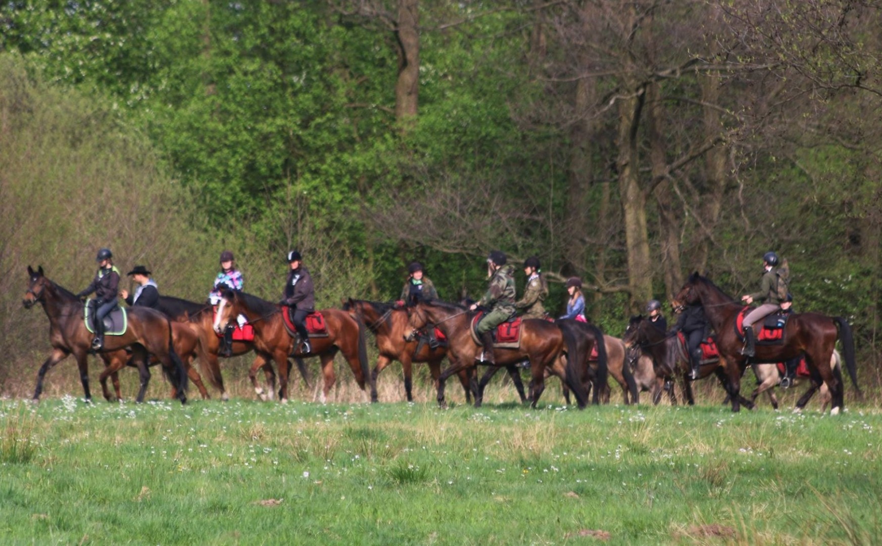 Stajnia "Konie na nieboskłonie"