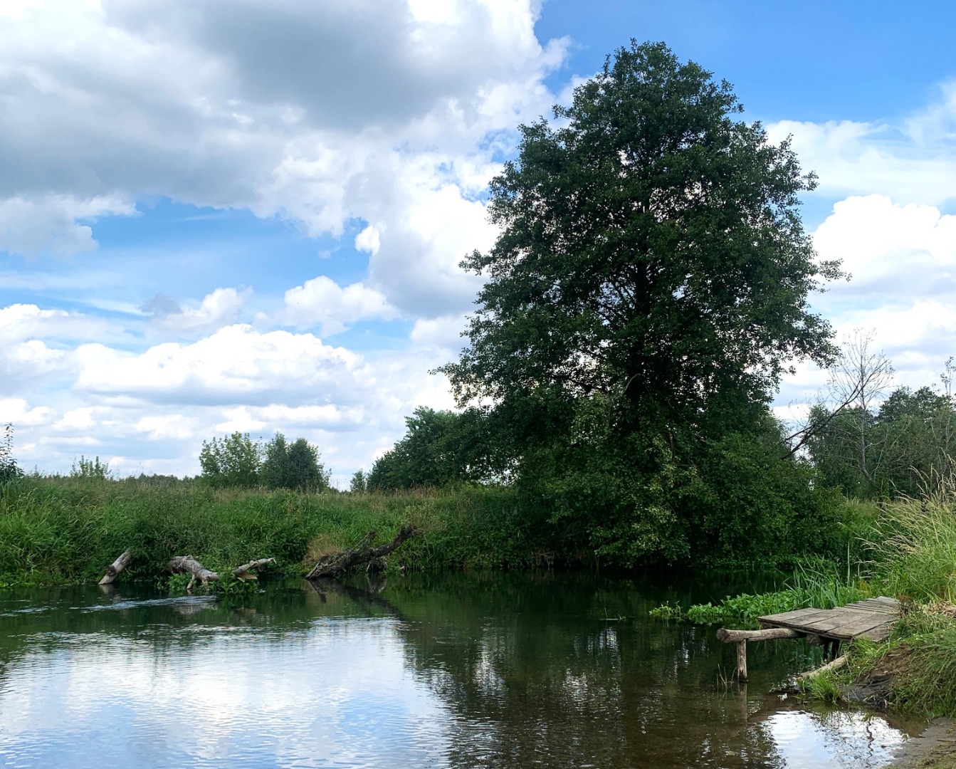Plaża "Pasternik" w Łazowie nad Widawką