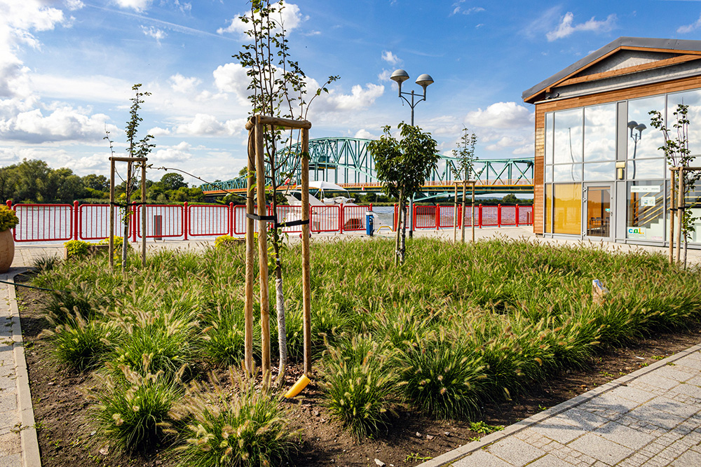 Gryfino i zmiany klimatu