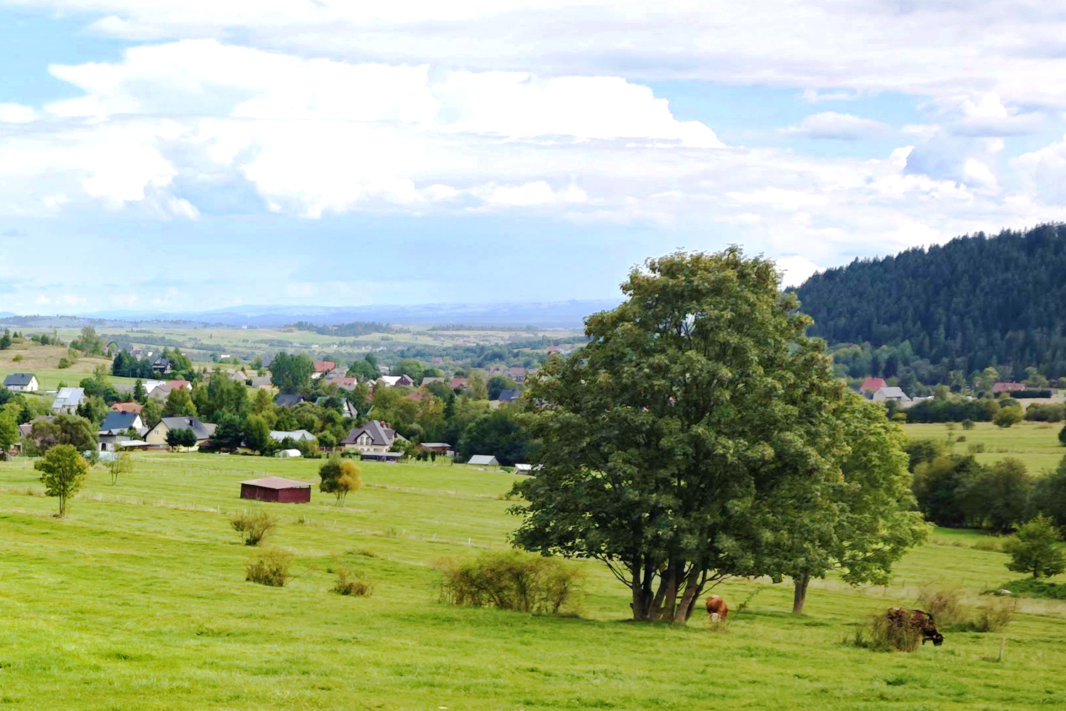 Groj mi orawski świecie...z Emilem Kowalczykiem po Przywarówce